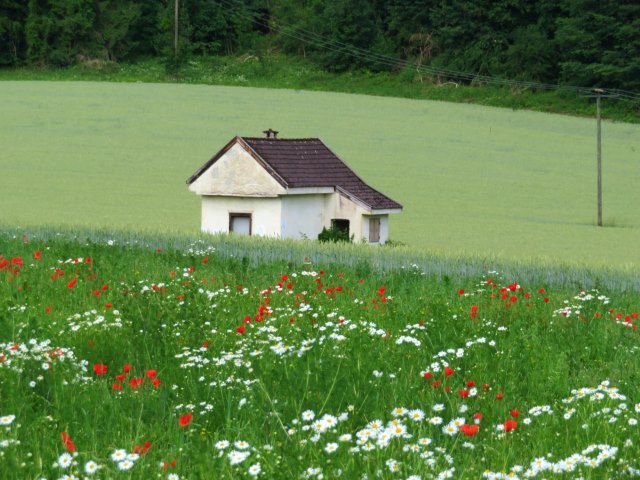 Königsmarsch von Starnberg nach Füssen vom 08.06. - 11.06.2018