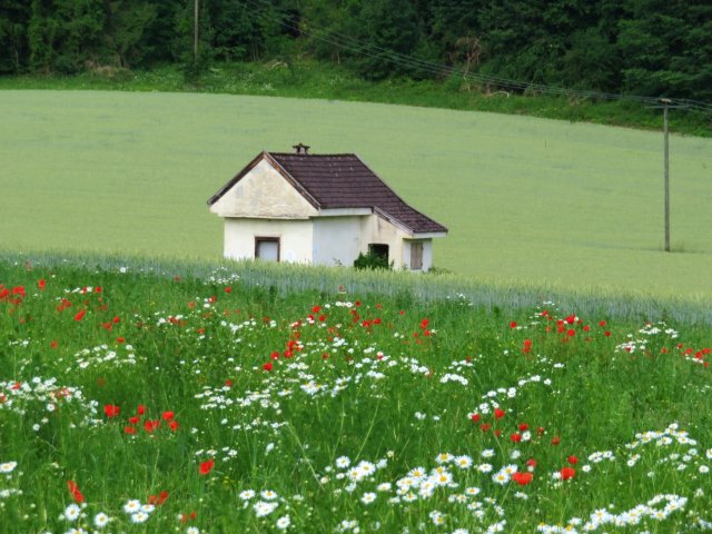 Knigsmarsch von Starnberg nach Fssen vom 08.06. - 11.06.2018