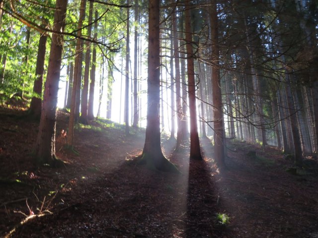 Königsmarsch von Starnberg nach Füssen vom 08.06. - 11.06.2018
