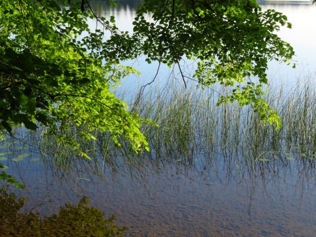 Königsmarsch von Starnberg nach Füssen vom 08.06. - 11.06.2018