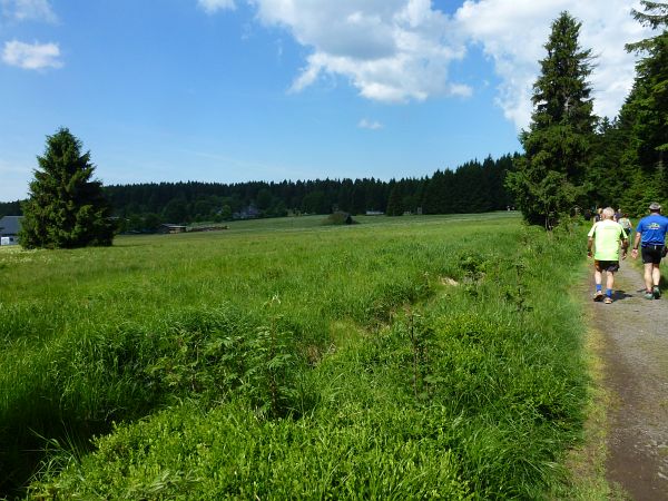 Rennsteig Marathon 2018