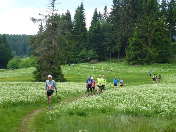 Rennsteig Marathon 2018