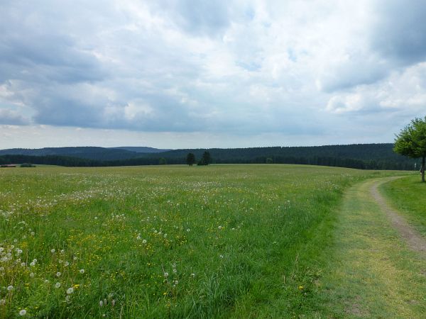 Rennsteig Marathon 2018