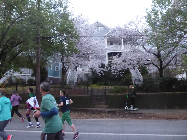 Atlanta Marathon 2019