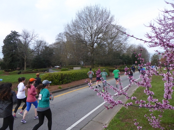 Atlanta Marathon 2019