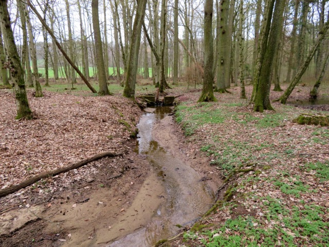 Peakhunter Joggingtour von Forchheim zum Auerberg