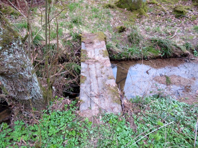 Peakhunter Joggingtour von Forchheim zum Auerberg