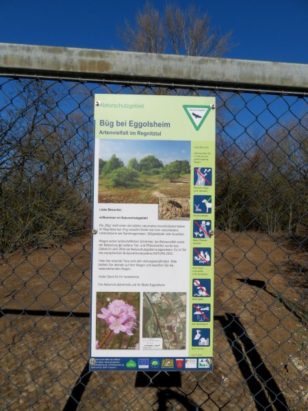 Joggingtour von Forchheim nach Buttenheim bei den Wasservgeln und Silberreihern