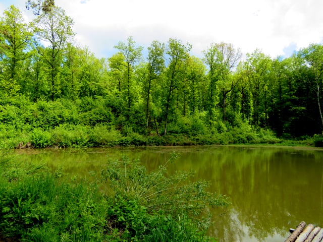 Joggingtour Tag des Wanderns 2019 von Buttenheim nach Forchheim 