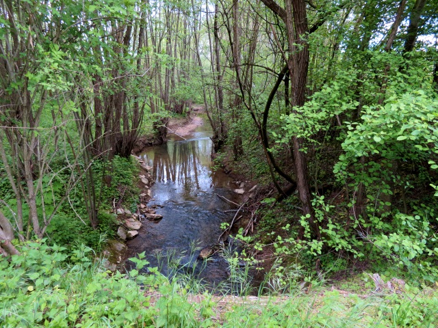 Joggingtour Tag des Wanderns 2019 von Buttenheim nach Forchheim 