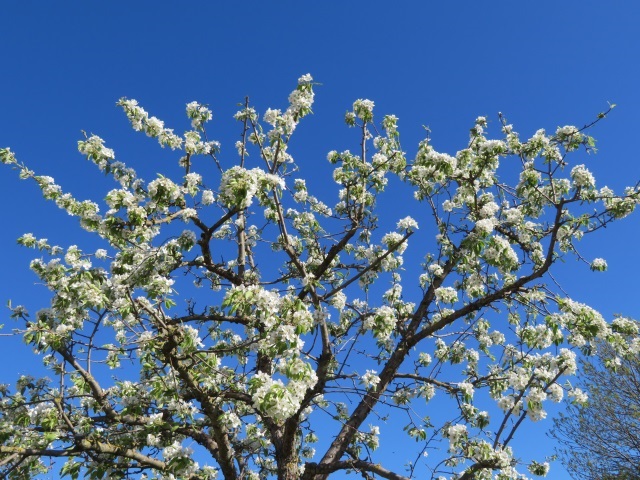 Karfreitag - Lauf von Buttenheim nach Trailsdorf mit Osterbrunnen am 19.04.2019 