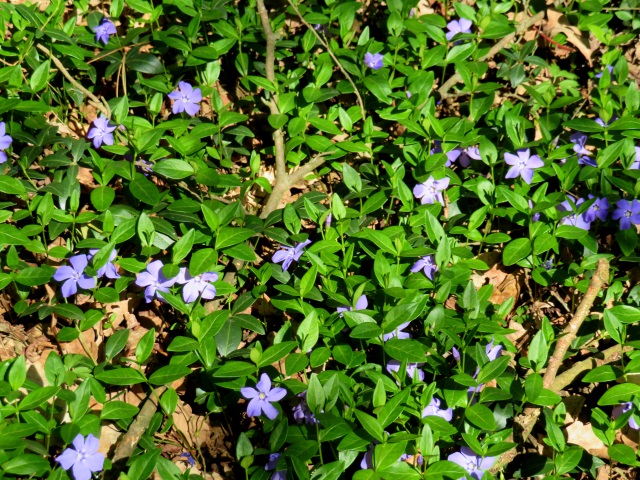 Karfreitag - Lauf von Buttenheim nach Trailsdorf mit Osterbrunnen am 19.04.2019 