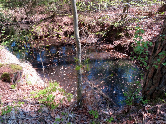 Lauf durch die südlichen Hassberge am 21.04.2019