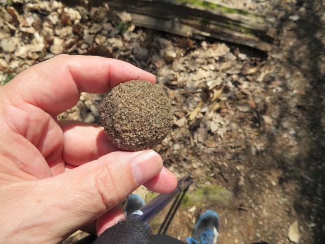 Lauf durch die sdlichen Hassberge am 21.04.2019