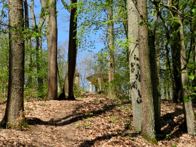Lauf durch die südlichen Hassberge am 21.04.2019