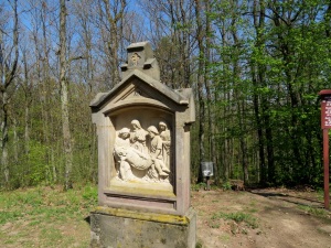 Lauf durch die südlichen Hassberge am 21.04.2019