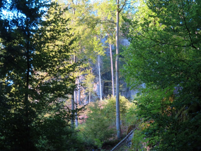 Hersbrucker Schweiz Orientierungslauf 2019