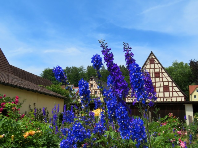 Hersbrucker Schweiz Orientierungslauf 2019