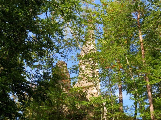 Frnkische Schweiz Joggingtour mit Langer Berg und allerlei Burgruinen am 20.09.2019 