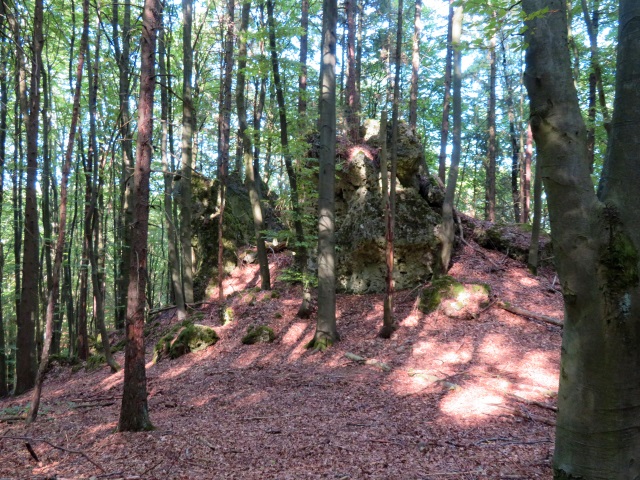 Frnkische Schweiz Joggingtour mit Langer Berg und allerlei Burgruinen am 20.09.2019 