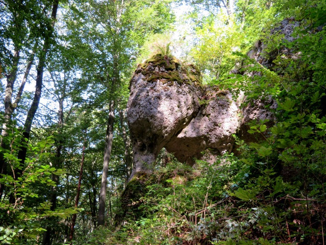 Frnkische Schweiz Joggingtour mit Langer Berg und allerlei Burgruinen am 20.09.2019 