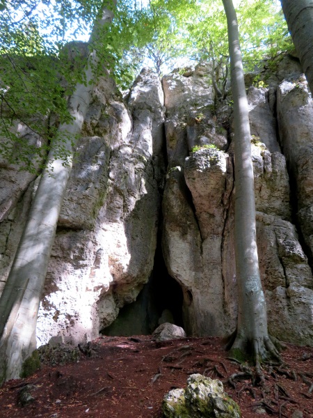 Frnkische Schweiz Joggingtour mit Langer Berg und allerlei Burgruinen am 20.09.2019 