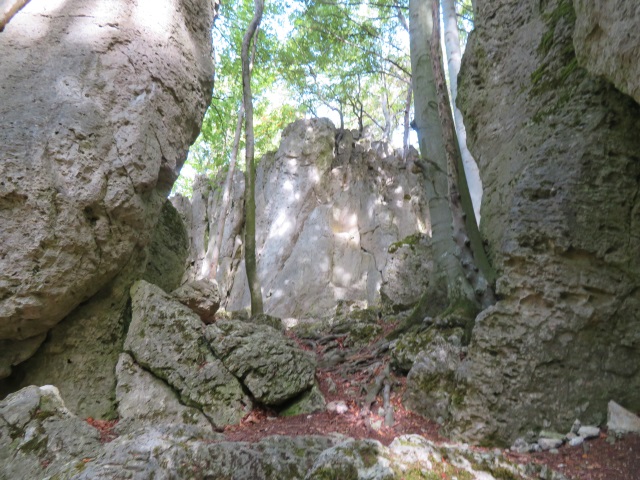 Frnkische Schweiz Joggingtour mit Langer Berg und allerlei Burgruinen am 20.09.2019 