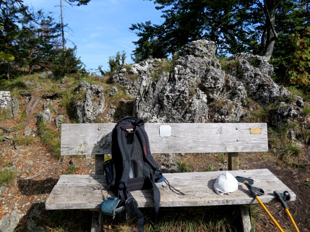 Frnkische Schweiz Joggingtour mit Langer Berg und allerlei Burgruinen am 20.09.2019 