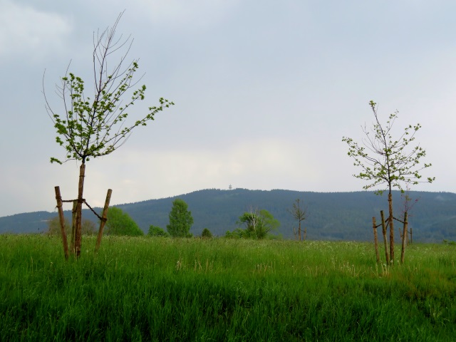 Grenzlandturm und Lerchenbhl - Tour am 25.05.2019