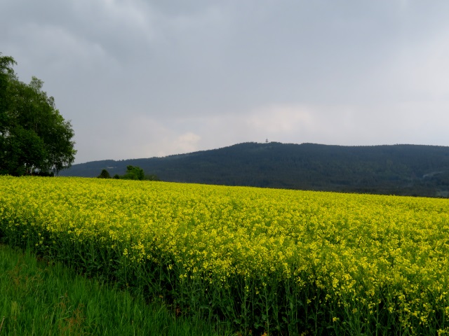 Grenzlandturm und Lerchenbühl - Tour am 25.05.2019