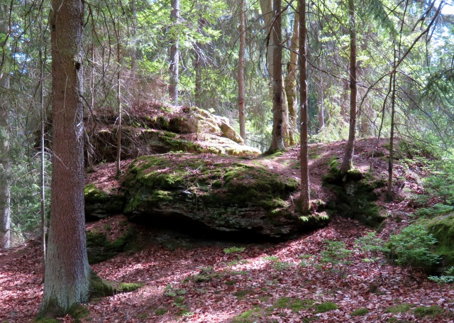 Ringelfelsen - Tour am 27.05.2019 und Peakhunting auf Birkenberg und Heidelberg