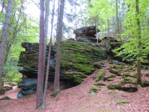 Ringelfelsen - Tour am 27.05.2019 und Peakhunting auf Birkenberg und Heidelberg