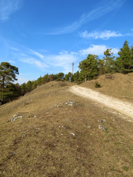 Joggingtour auf den Schellenberg mit der Keltenburg Schellenburg bei Kinding am 28.02.2019