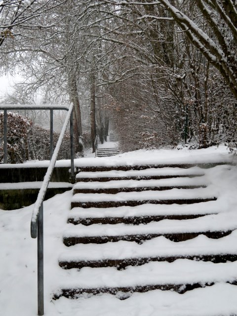 Schneelauf am 11.01.2019 in Forchheim