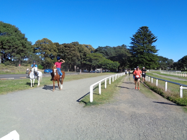 Sydney Marathon 2019