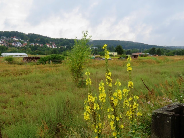 Von Daheim Los Lauf Teil 1 durch die Frnkische Schweiz