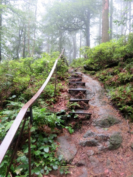 Von Daheim Los Lauf Teil 2 