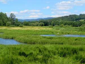Von Daheim Los Lauf Teil 2
