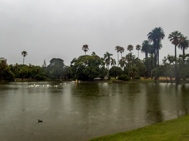 Buenos Aires Capital City Marathon 2020