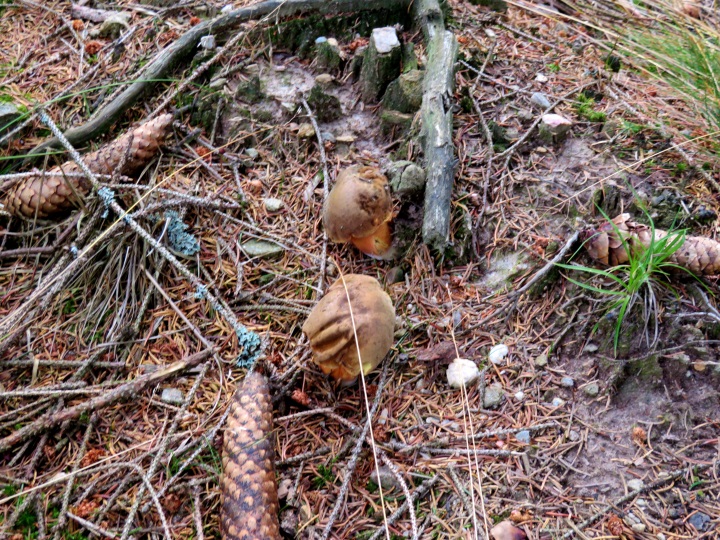 Peak Hunting Tour von Mhring auf den Poppenreuther Berg