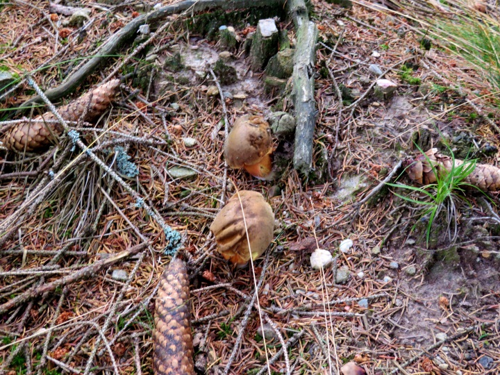 Peak Hunting Tour von Mhring auf den Poppenreuther Berg