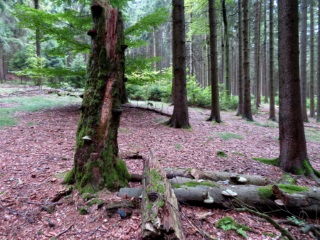 Peak Hunting Tour von Mhring auf den Poppenreuther Berg