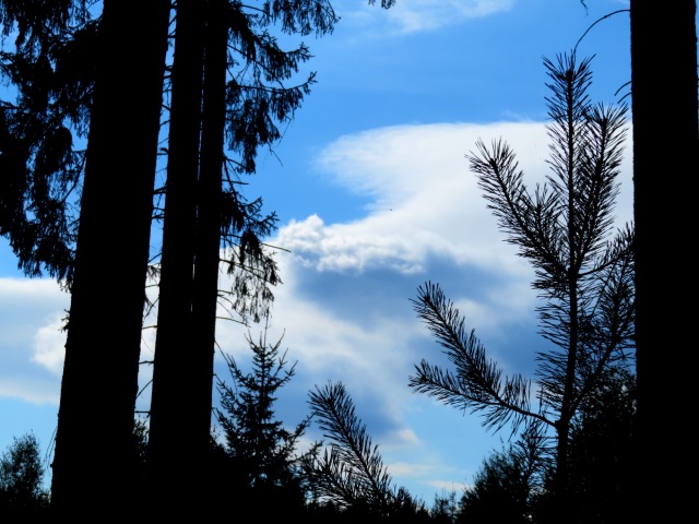 Neualbenreuth Wanderung