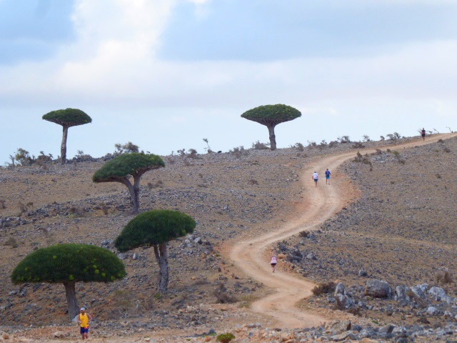 Sokotra Marathon in Jemen 2020