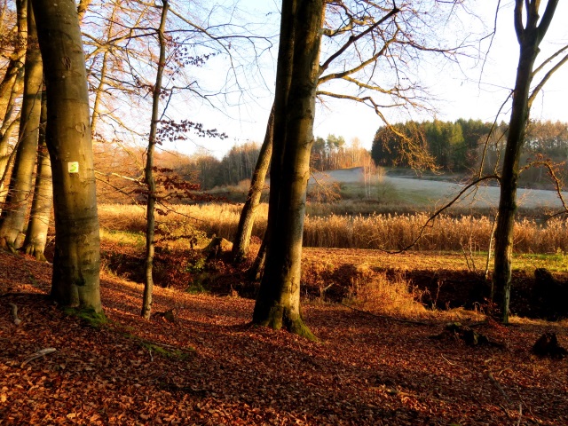 Wanderung im Steigerwald