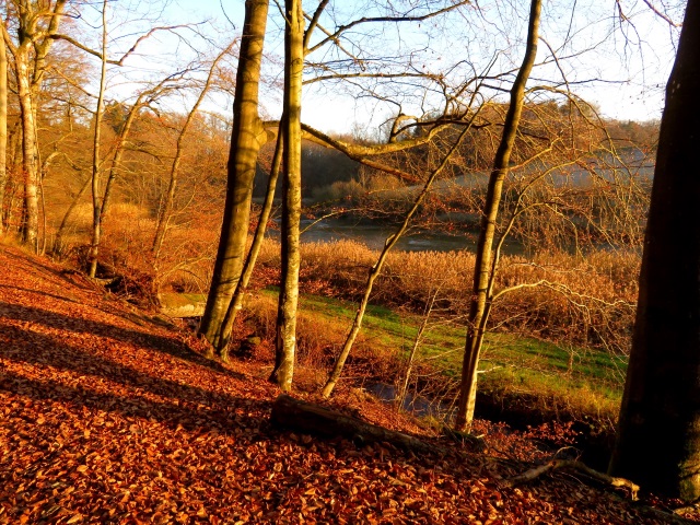 Wanderung im Steigerwald