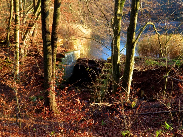 Wanderung im Steigerwald