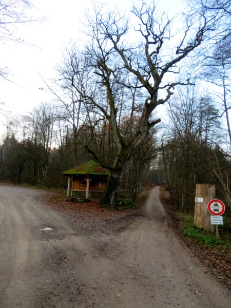 Wanderung im Steigerwald