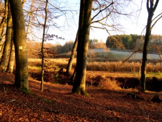 Wanderung im Steigerwald