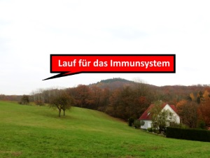 Blick auf den Schießberg bei Unterstürmig